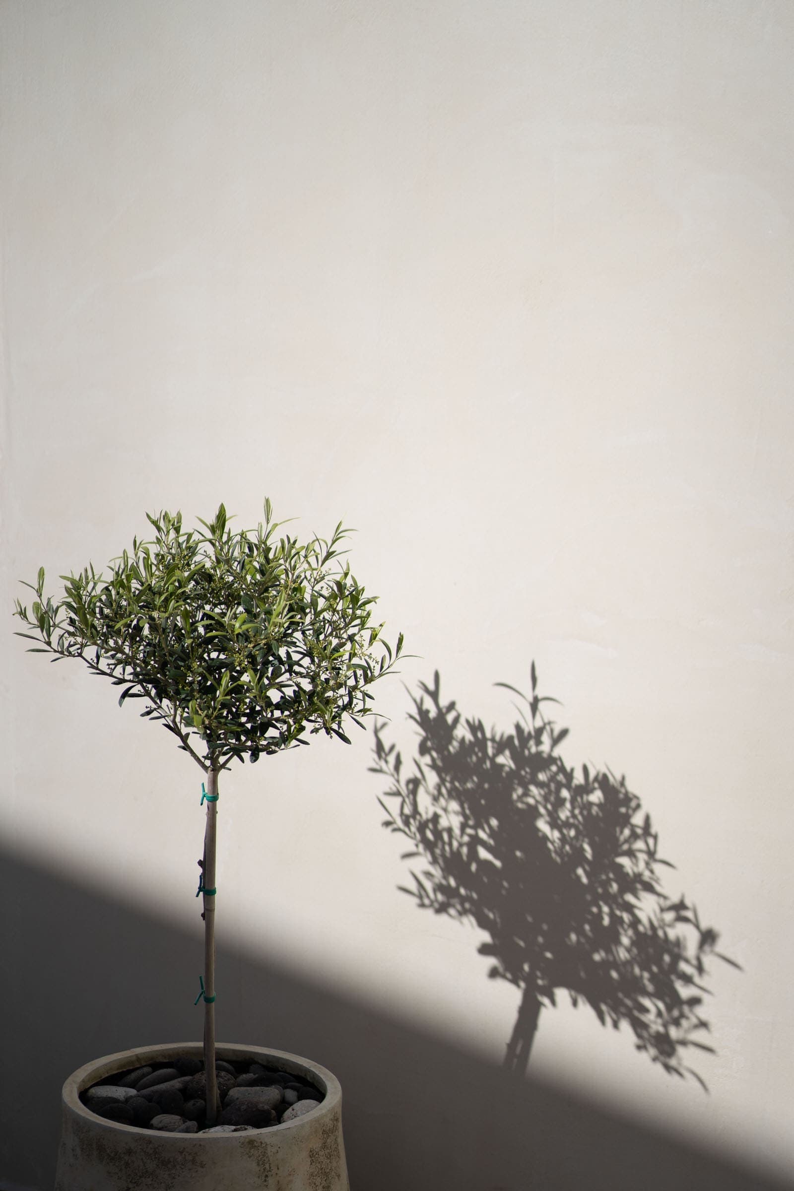 Areos | boutique hotel in Vothonas Architectural Photography-1