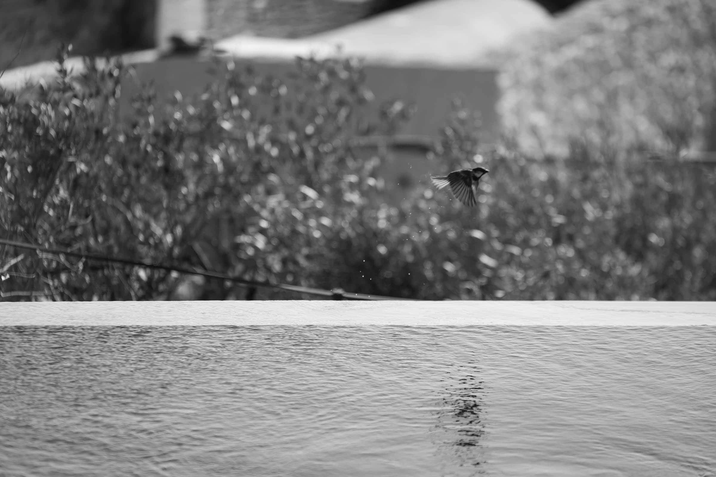 Ikies of Mykonos | boutique hotel photography Architectural Photography-6