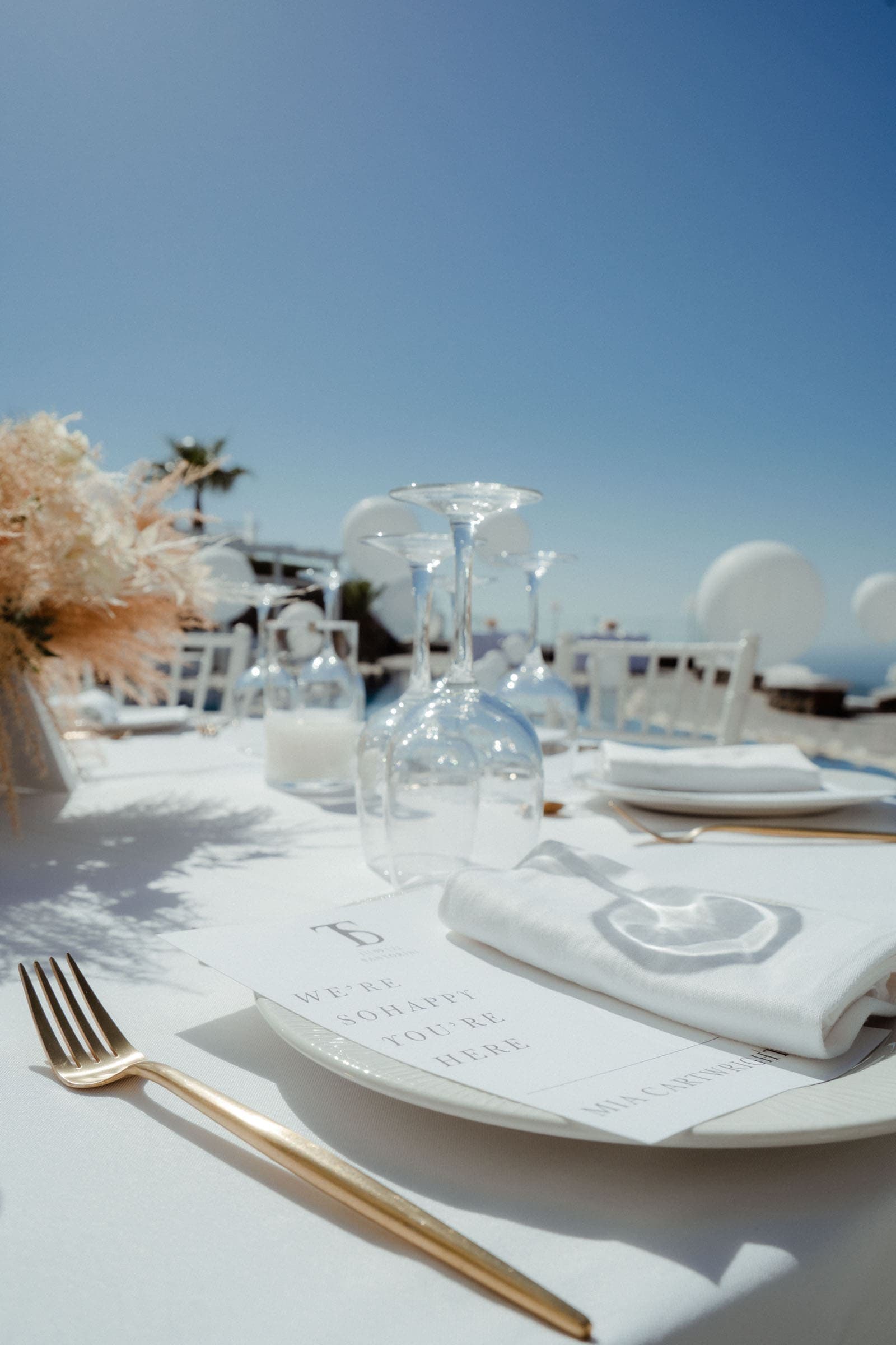 Sarah and Tarv | wedding in Santorini Gem Wedding Santorini-25