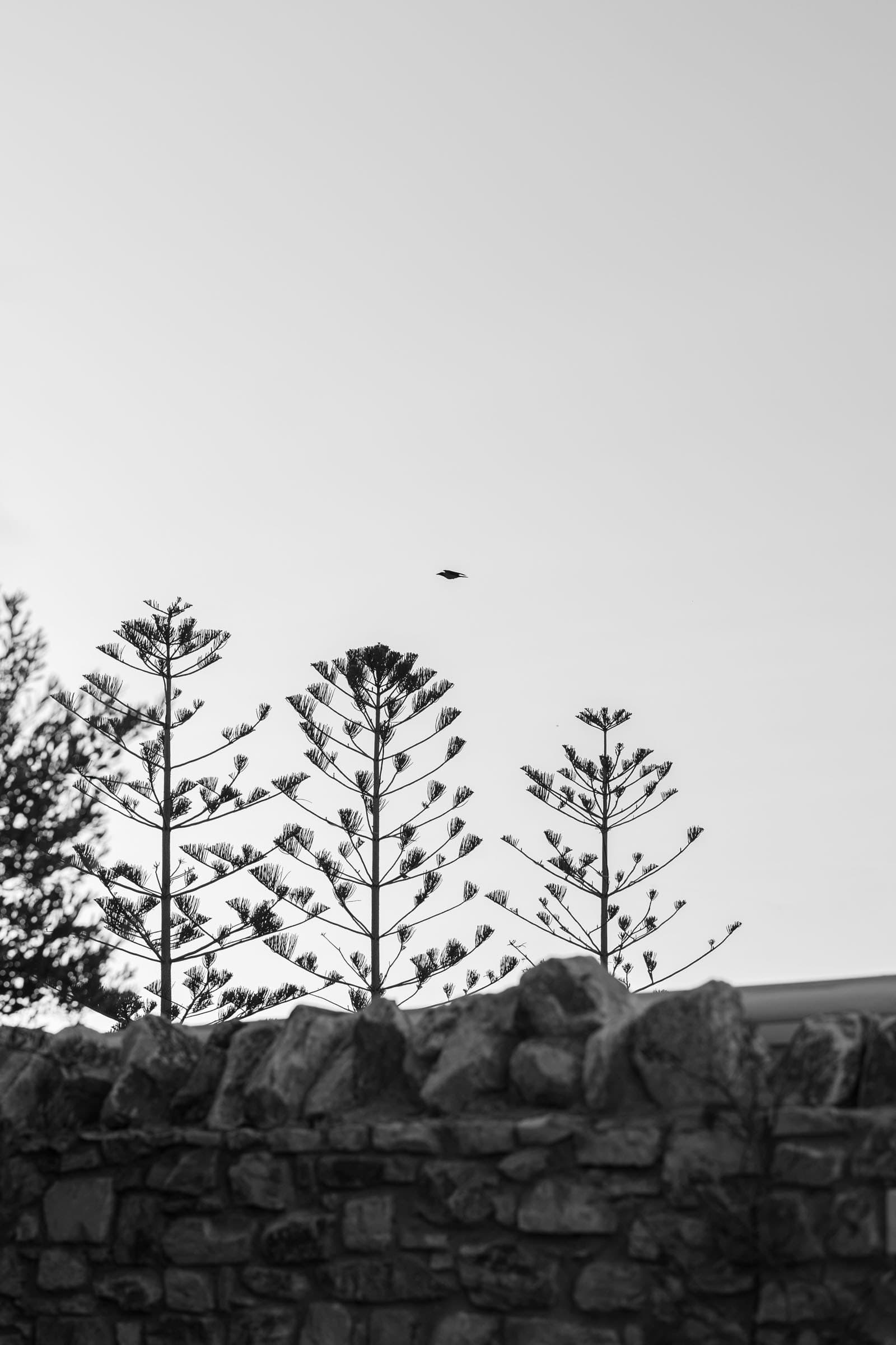 White Dunes | bespoke villas in Paros Architectural Photography-2