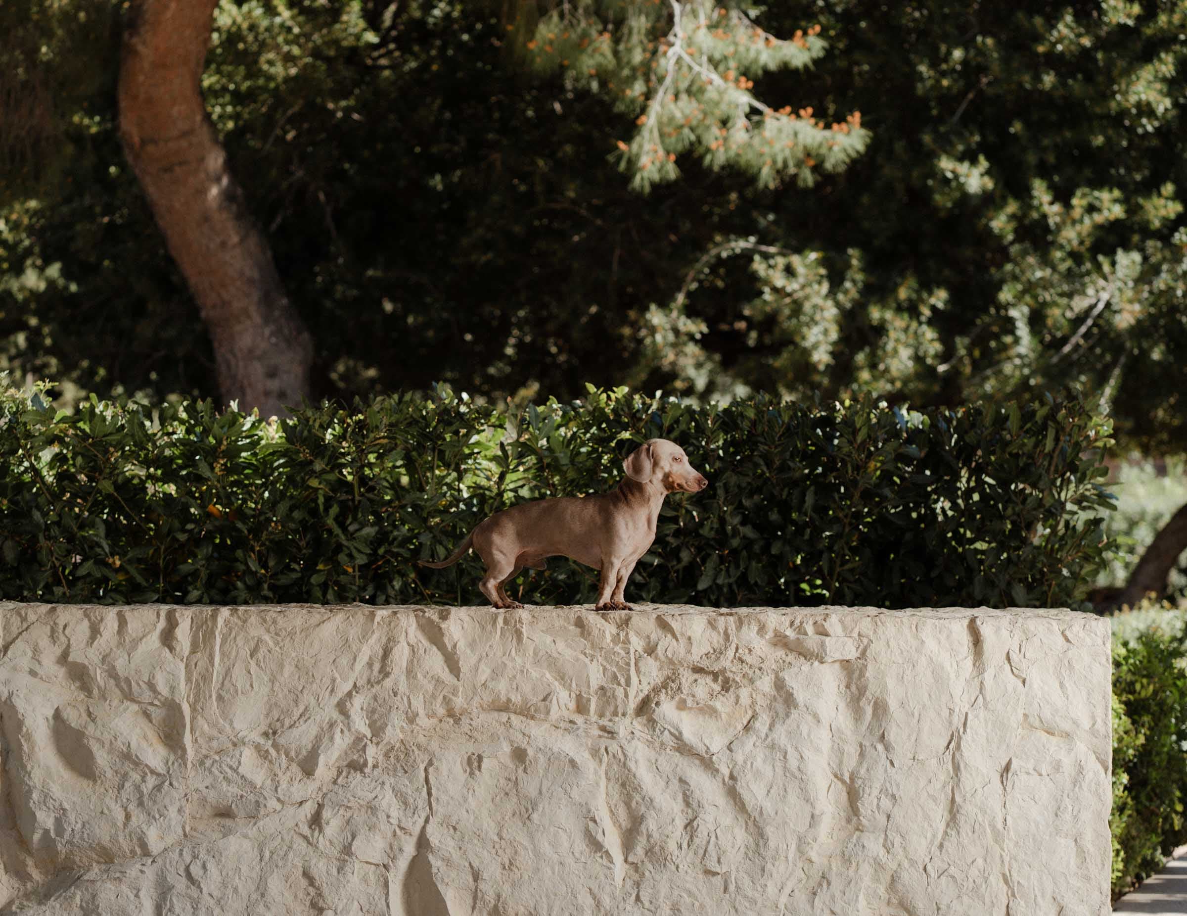 Lake Vouliagmeni Commercial Photography-15