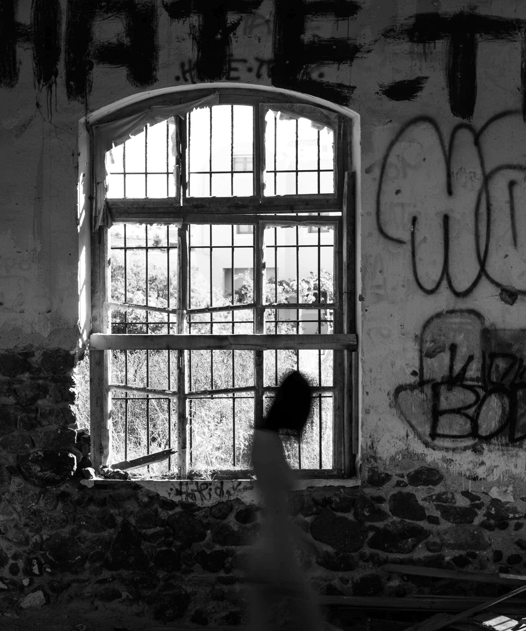 Placebo Personal Projects-1