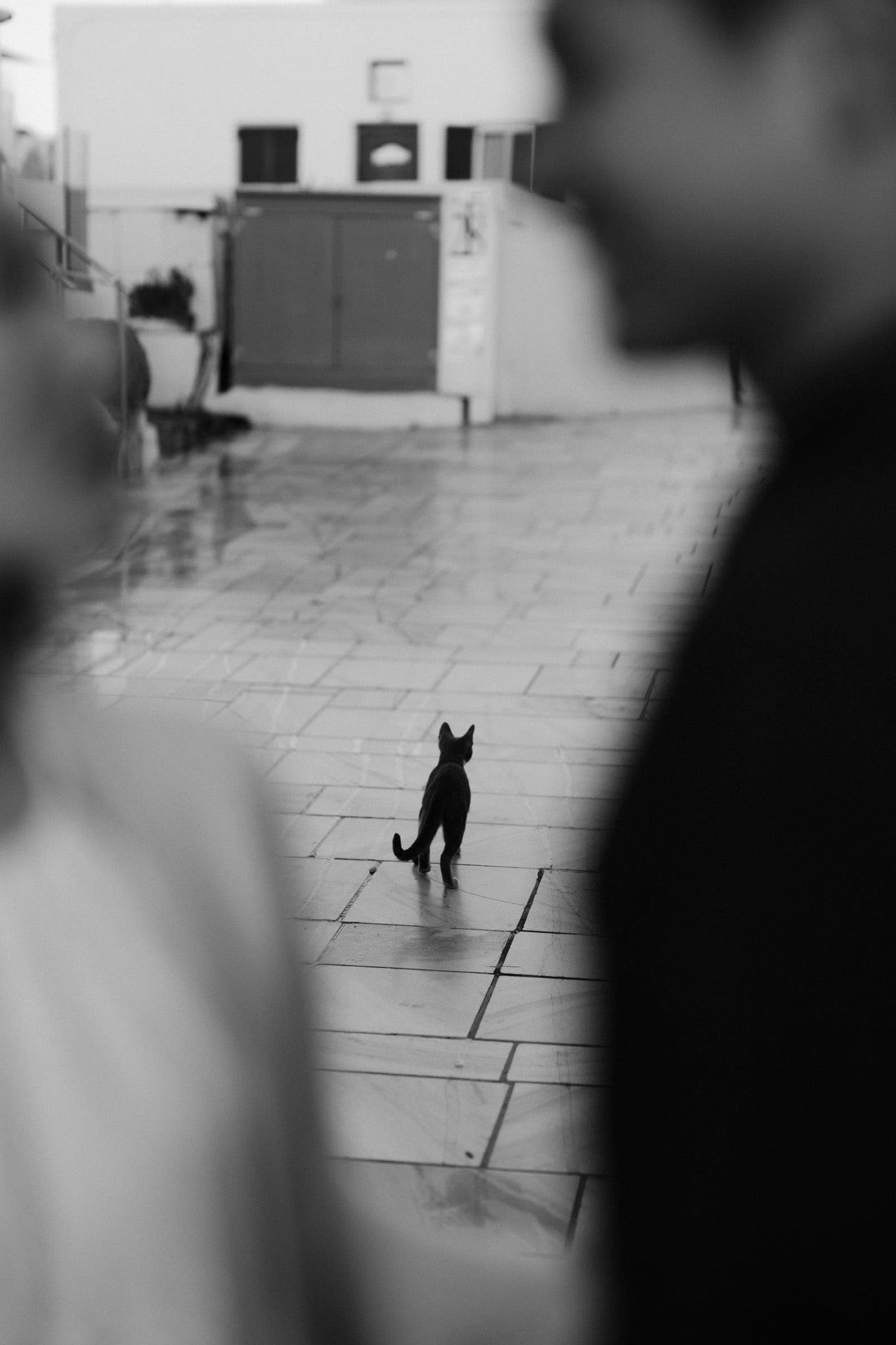 Hattori & Aiko | Aesthetic couple photoshoot in Santorini Couple Sessions-11