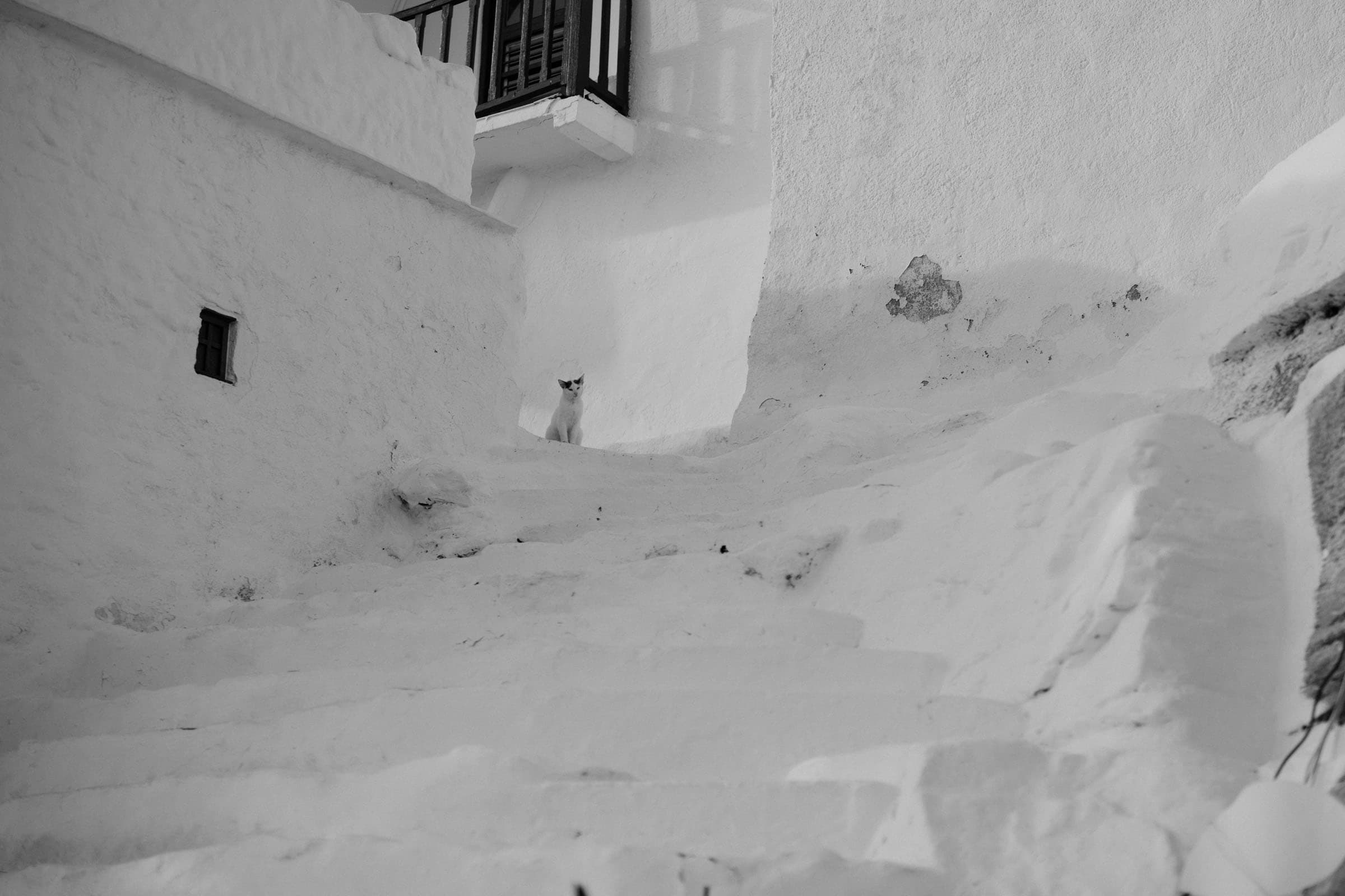 Alexandros & Nikki – Sifnos Wedding at Panagia Chrysopigi Other Greek Islands-40